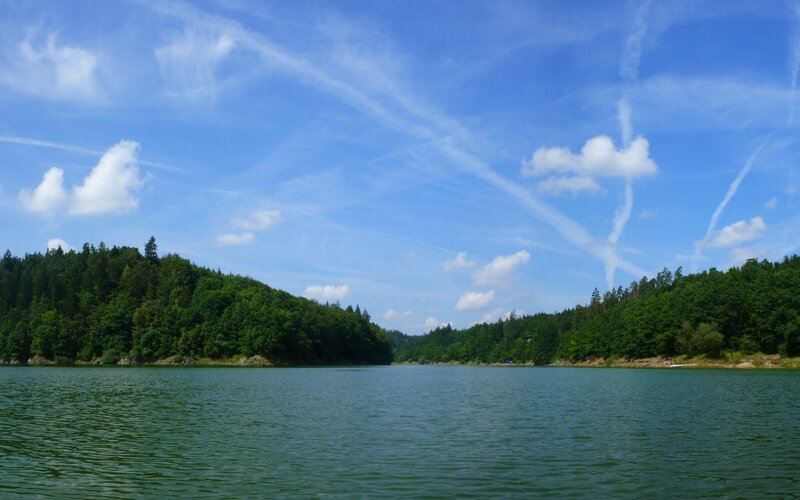 Lake surrounded by forest