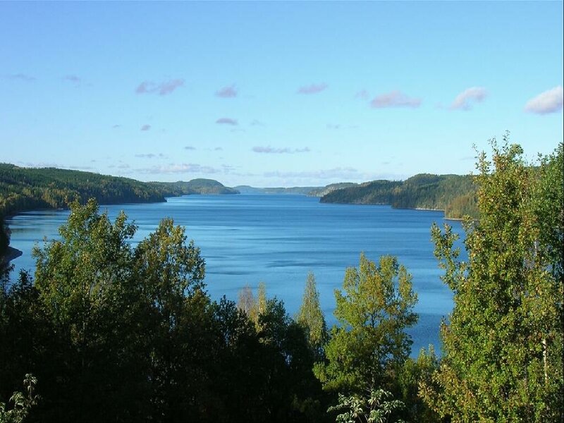 Lake surrounded by forest
