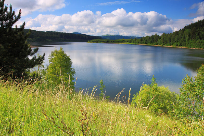 Lake surrounded by forest