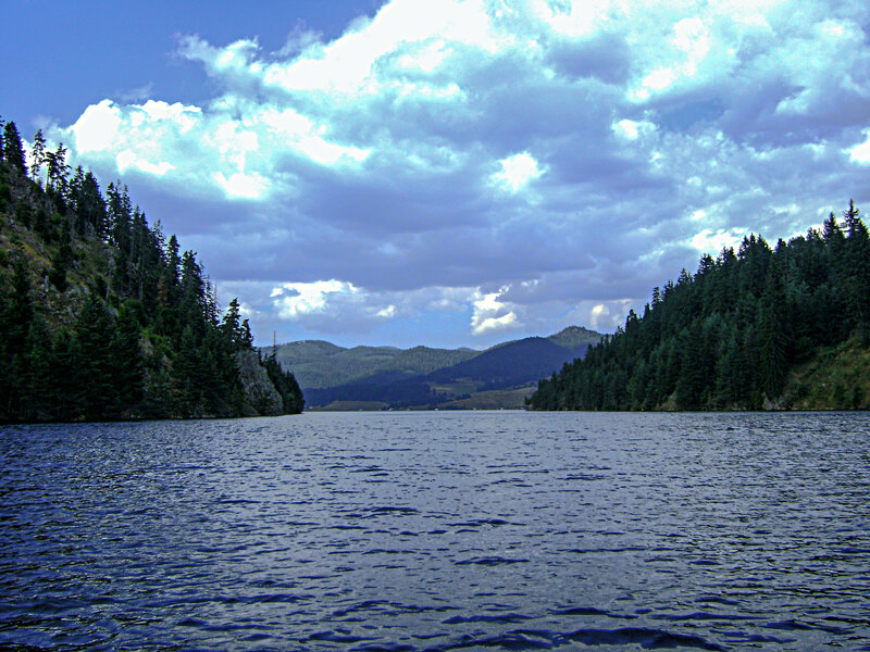 Lake Surrounded by Forest — Blue, Dramatic, Afternoon