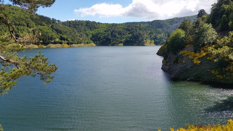 Lake Surrounded by Forest — Blue, Serene, Afternoon, Photograph, Trees, Hills