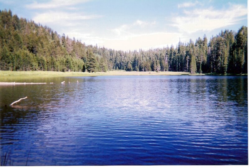 Lake Surrounded by Forest — Blue, Serene, Afternoon, Photograph, Trees, Water