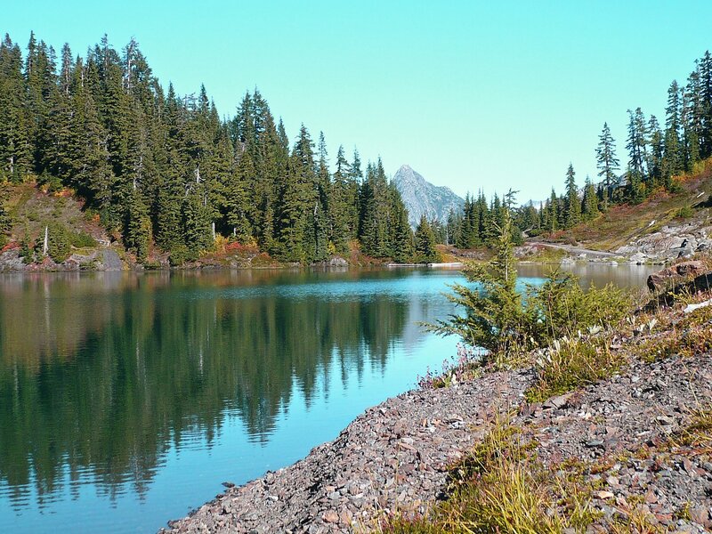 Lake Surrounded by Forest — Blue, Serene, Afternoon