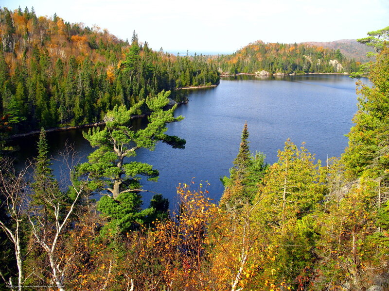 Lake Surrounded by Forest — Blue, Serene, Autumn, Photograph