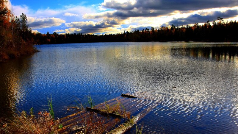 Lake Surrounded by Forest — Blue, Serene, Autumn
