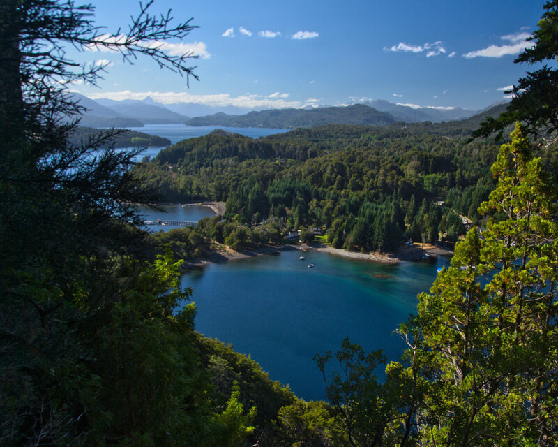 Lake Surrounded by Forest — Blue, Serene