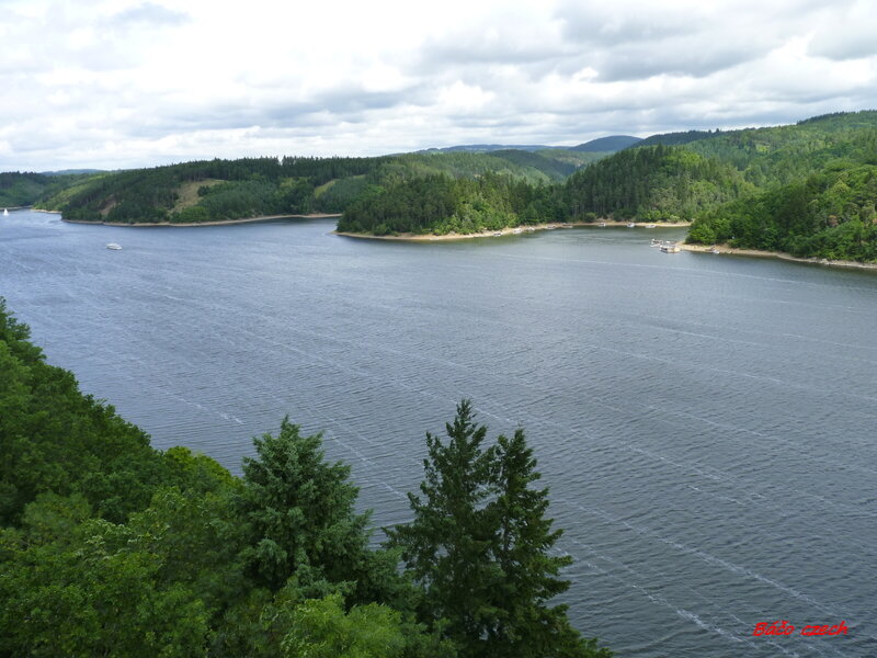 Lake Surrounded by Forest — Green, Calm