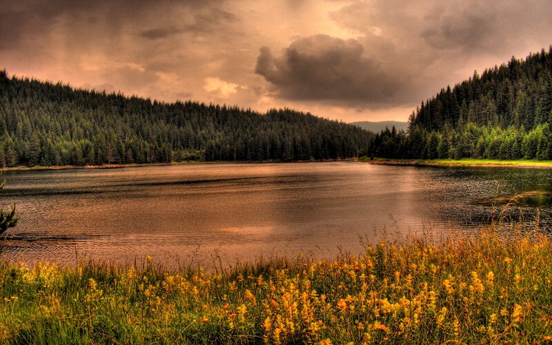 Lake Surrounded by Forest — Green, Dramatic
