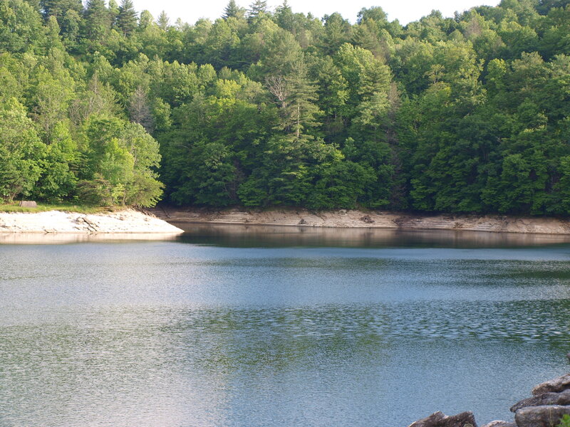 Lake Surrounded by Forest — Green, Serene, Afternoon, Photograph, Shoreline