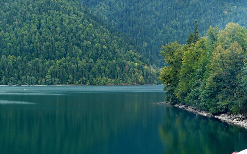 Lake Surrounded by Forest — Green, Serene, Afternoon, Photograph, Trees, Shore