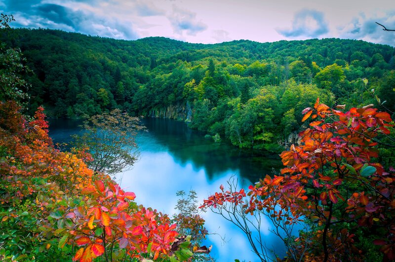Lake Surrounded by Forest — Green, Serene, Autumn