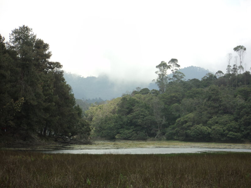 Lake Surrounded by Forest — Green, Serene, Photograph, Mountain