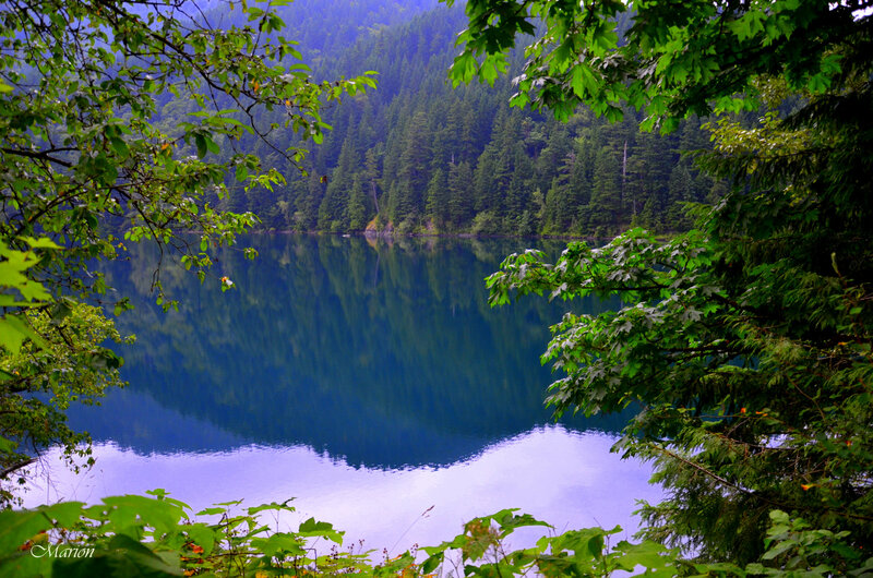 Lake Surrounded by Forest — Green, Serene, Photograph