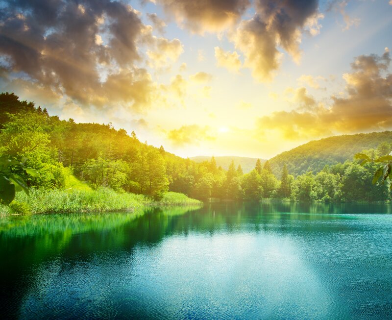 Lake Surrounded by Forest — Green, Serene, Sunset, Photograph