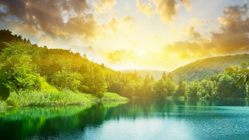 Lake Surrounded by Forest — Green, Serene, Sunset