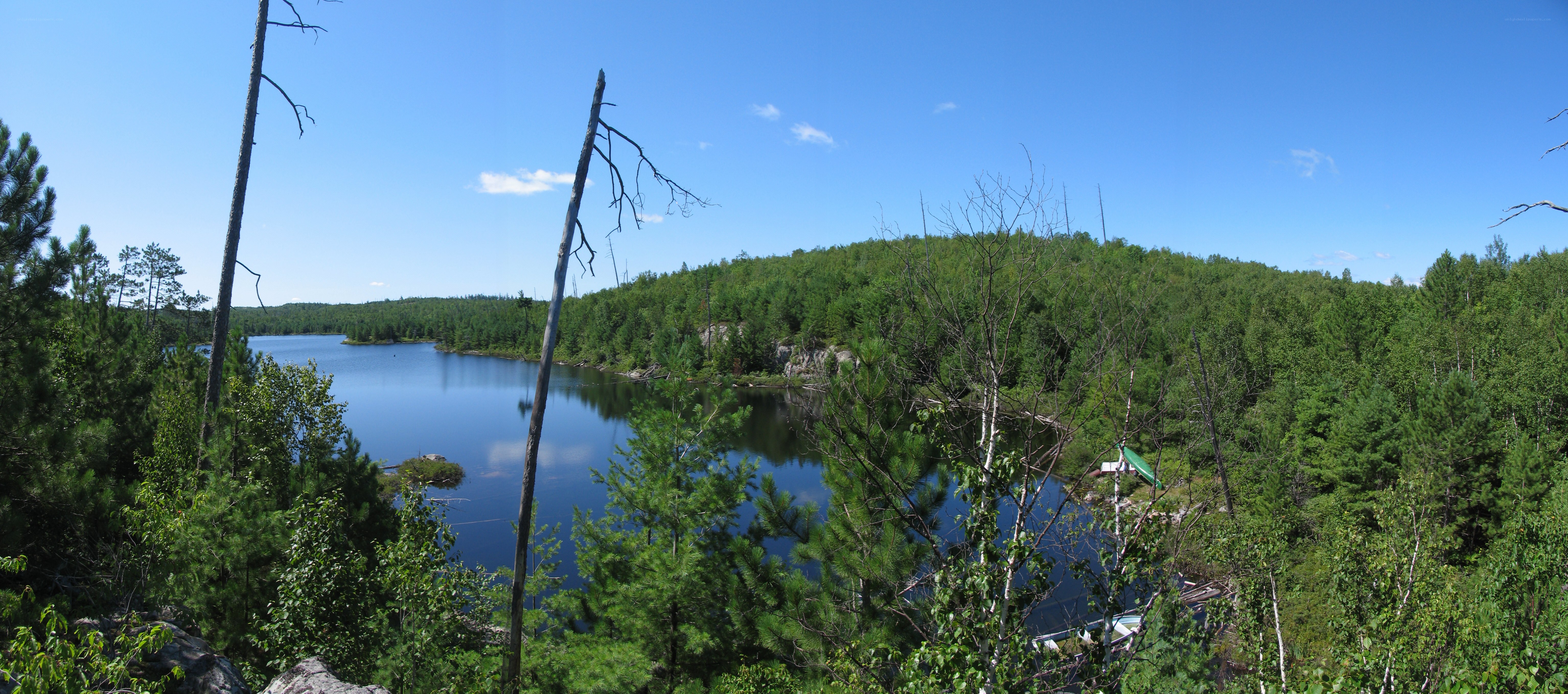 Lake surrounded by forest