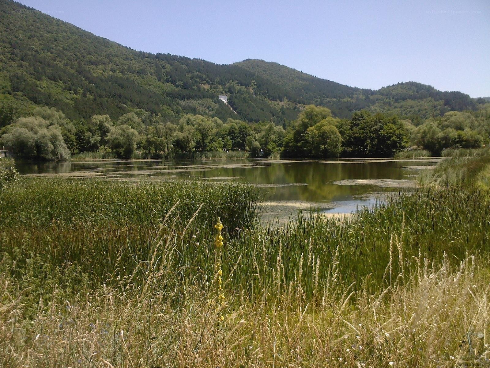 Lake surrounded by green hills
