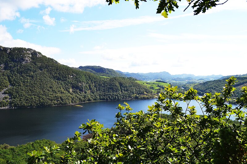 Lake Surrounded by Hills — Green, Serene, Afternoon, Photograph, Trees, Sky