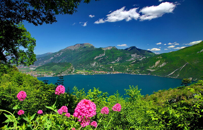 Lake Surrounded by Mountains — Blue, Serene, Afternoon, Photograph, Flowers, Trees