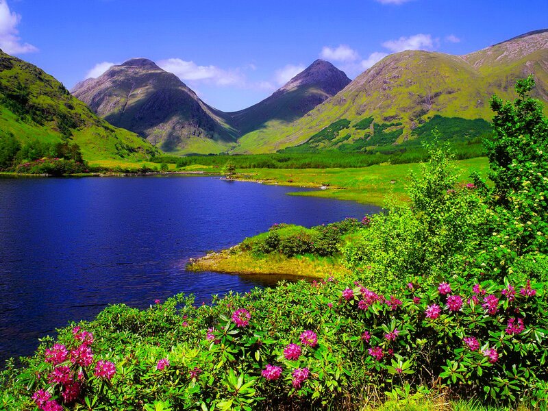 Lake Surrounded by Mountains — Blue, Serene, Summer, Photograph, Flowers, Trees