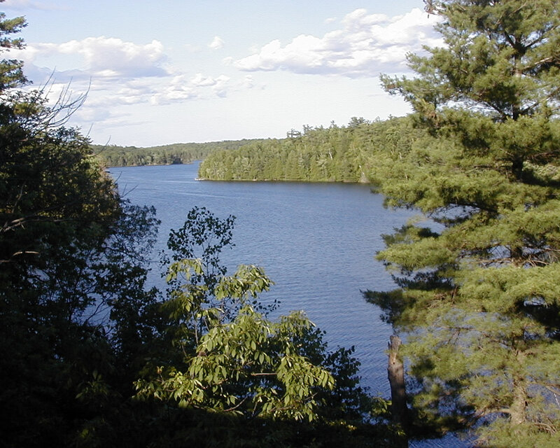 Lake Surrounded by Trees — Blue, Serene, Afternoon, Photograph, Sky, Clouds, Green