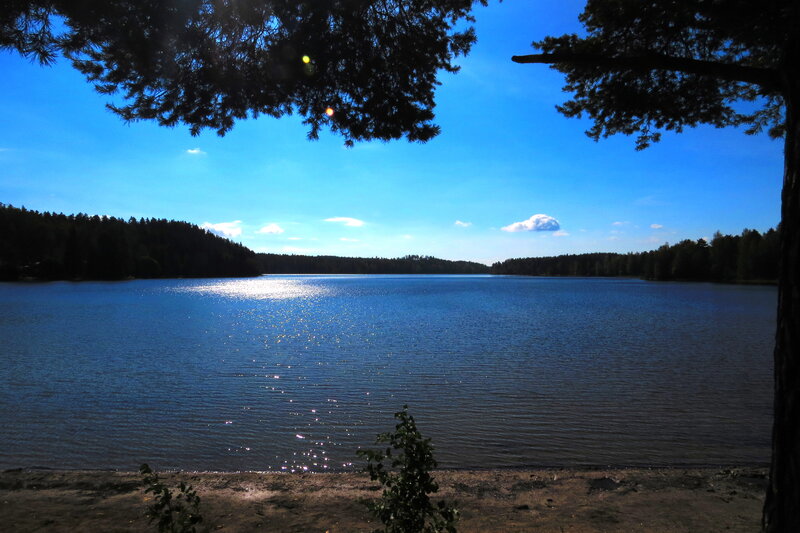 Lake Surrounded by Trees — Blue, Serene, Afternoon, Photograph, Sky, Water