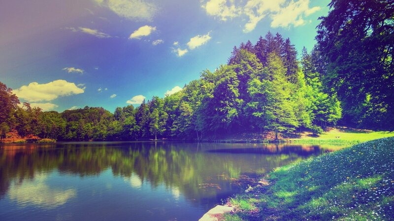 Lake Surrounded by Trees — Blue, Serene, Afternoon, Photograph