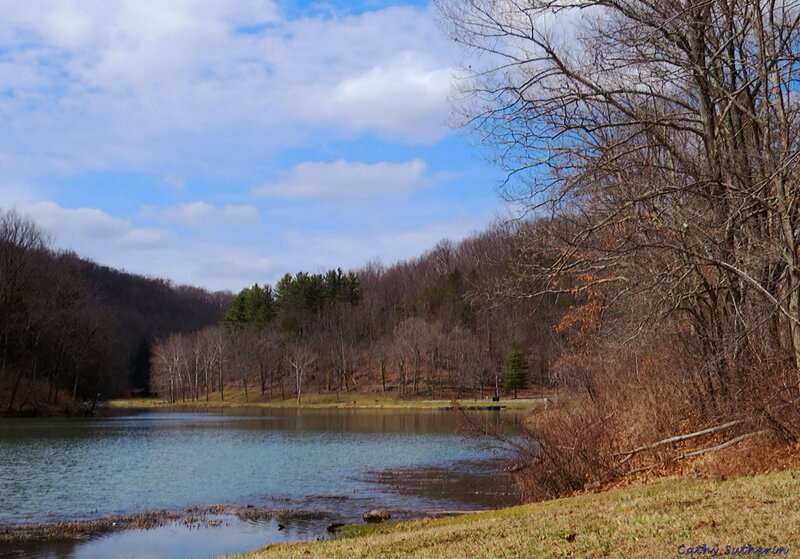 Lake Surrounded by Trees — Blue, Serene, Autumn, Photograph