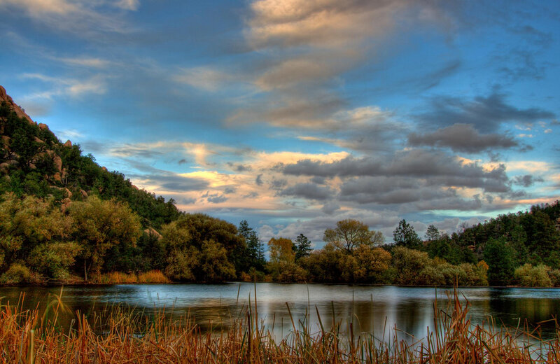 Lake Surrounded by Trees — Blue, Serene
