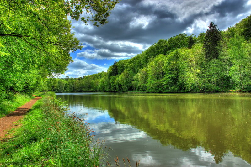 Lake Surrounded by Trees — Green, Dramatic, Afternoon