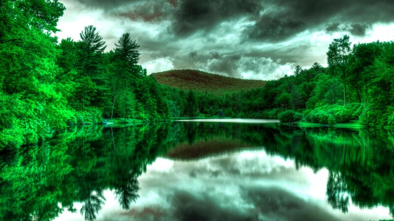 Lake Surrounded by Trees — Green, Dramatic, Photograph