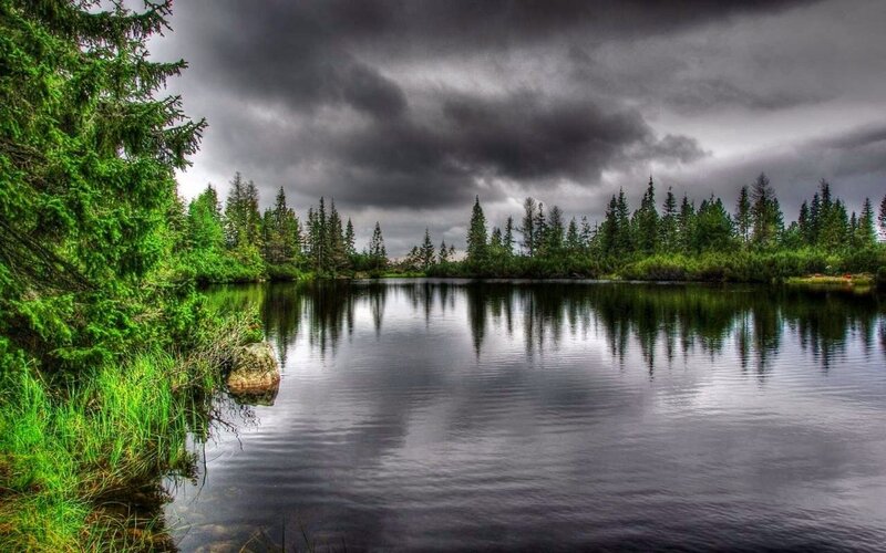 Lake Surrounded by Trees — Green, Dramatic