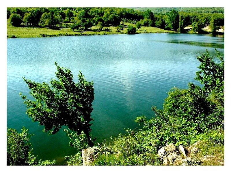 Lake Surrounded by Trees — Green, Serene, Afternoon, Photograph, Grass, Rocks