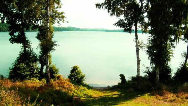 Lake Surrounded by Trees — Green, Serene, Afternoon, Photograph, Grass, Shore
