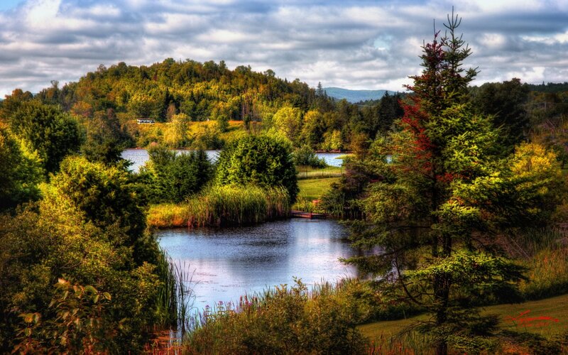 Lake Surrounded by Trees — Green, Serene, Afternoon, Photograph, Hills, Sky