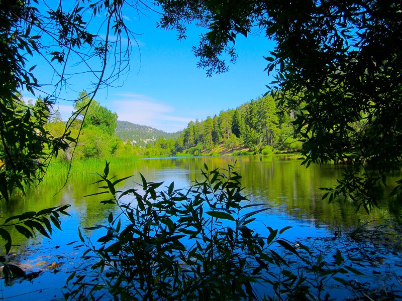 Lake Surrounded by Trees — Green, Serene, Afternoon, Photograph, Mountain, Sky
