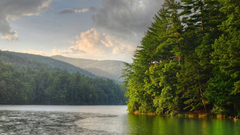 Lake Surrounded by Trees — Green, Serene, Afternoon, Photograph, Mountains