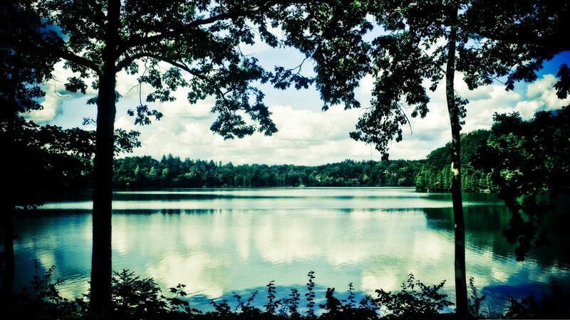 Lake Surrounded by Trees — Green, Serene, Afternoon, Photograph, Sky, Clouds, Blue