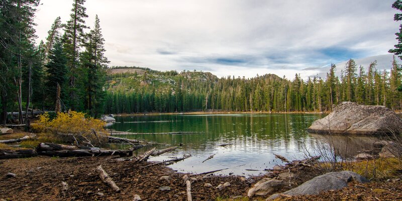 Lake Surrounded by Trees — Green, Serene, Autumn