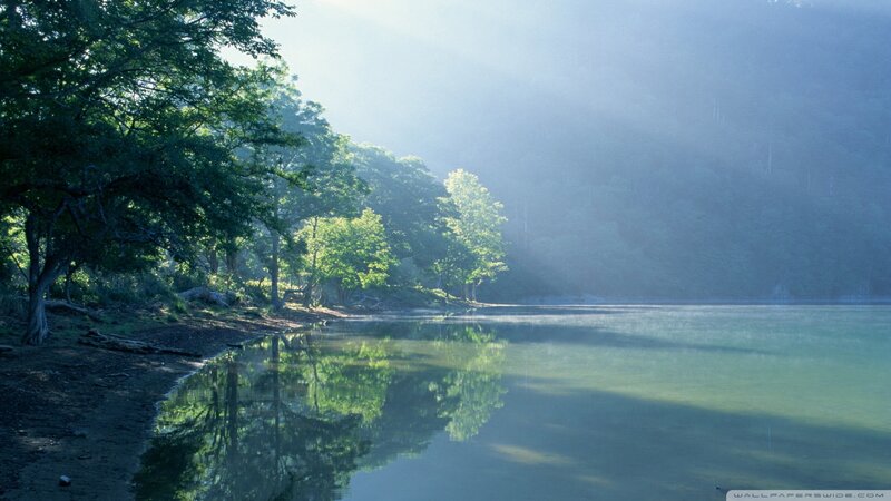 Lake Surrounded by Trees — Green, Serene, Morning, Photograph, Reflection