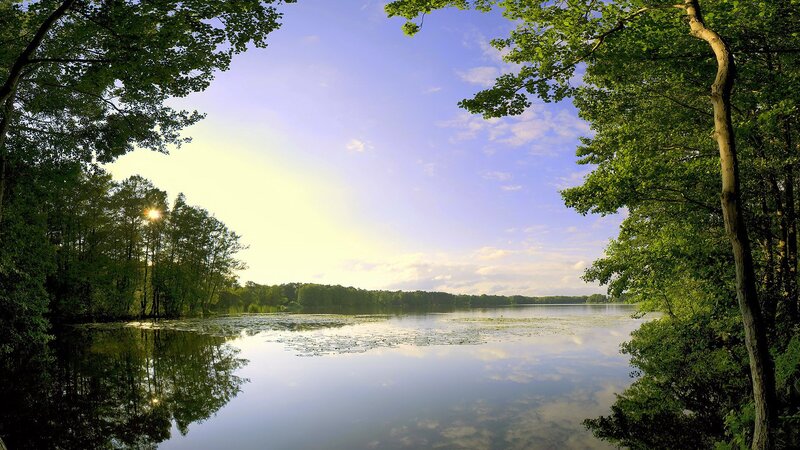 Lake Surrounded by Trees — Green, Serene, Sunset