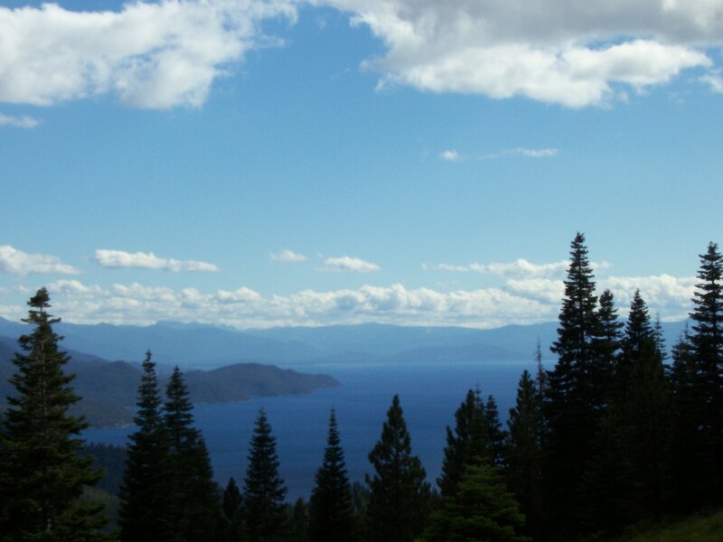 Lake Tahoe with pine trees