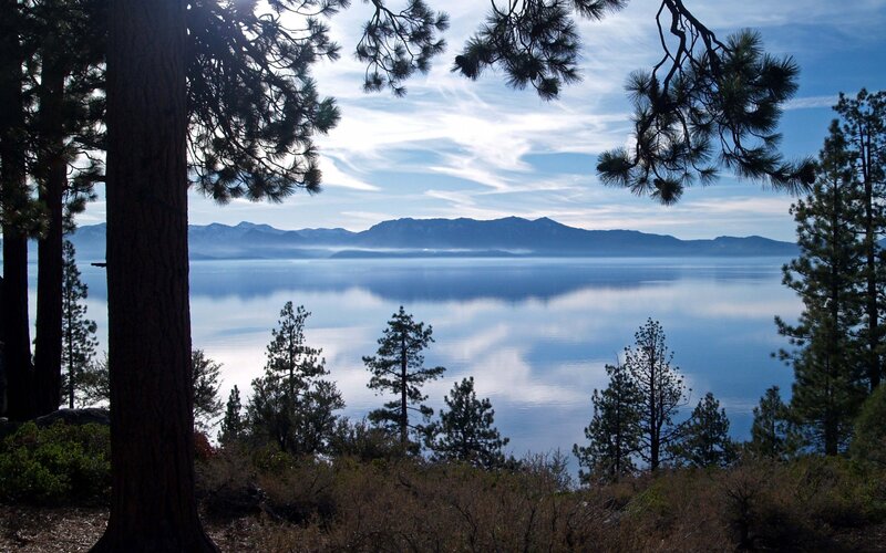 Lake Tahoe with pine trees