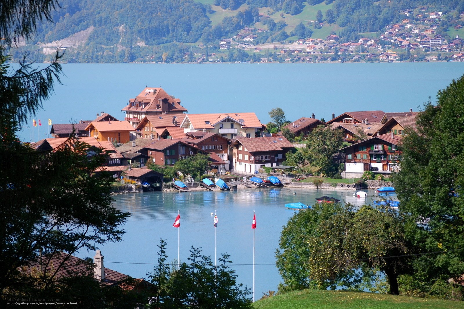 Lake Thun village view