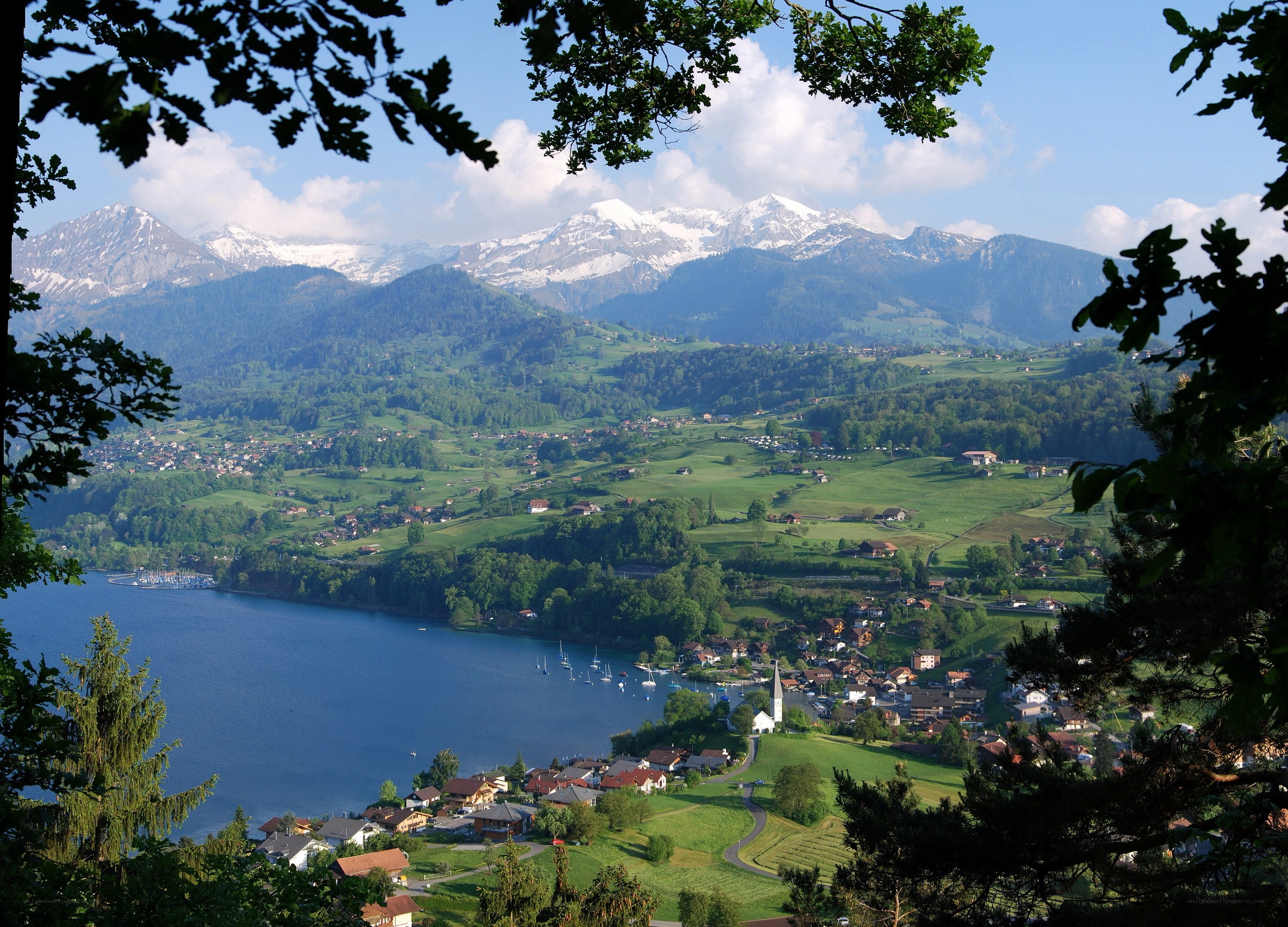 Lake Thun with Alps view