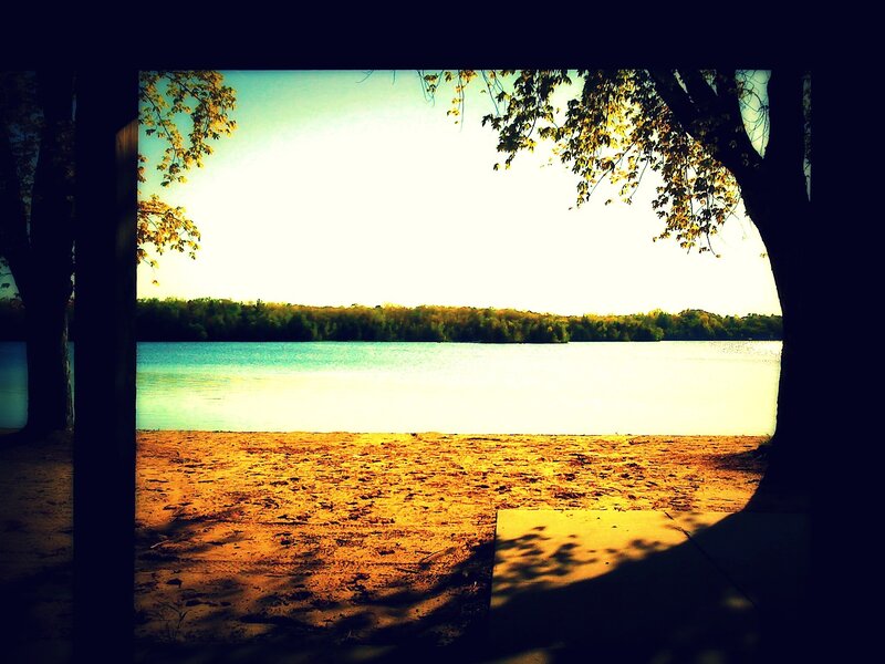 Lake view from shaded pavilion
