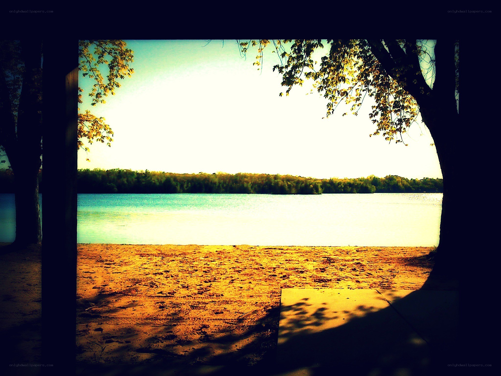 Lake view from shaded pavilion