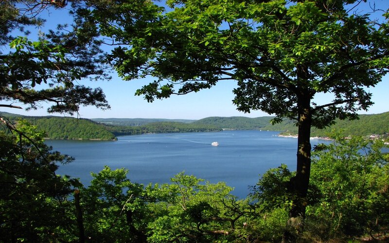 Lake view through tree branches