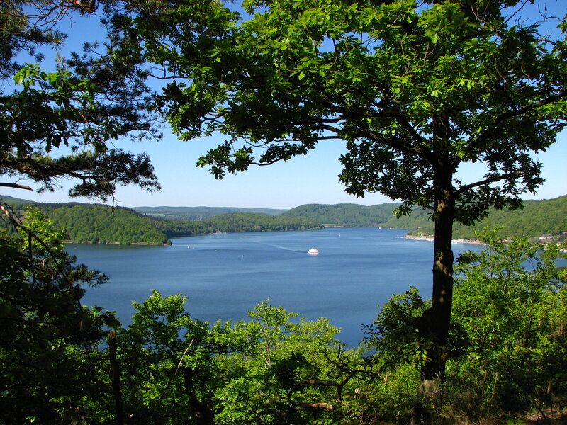Lake view through trees