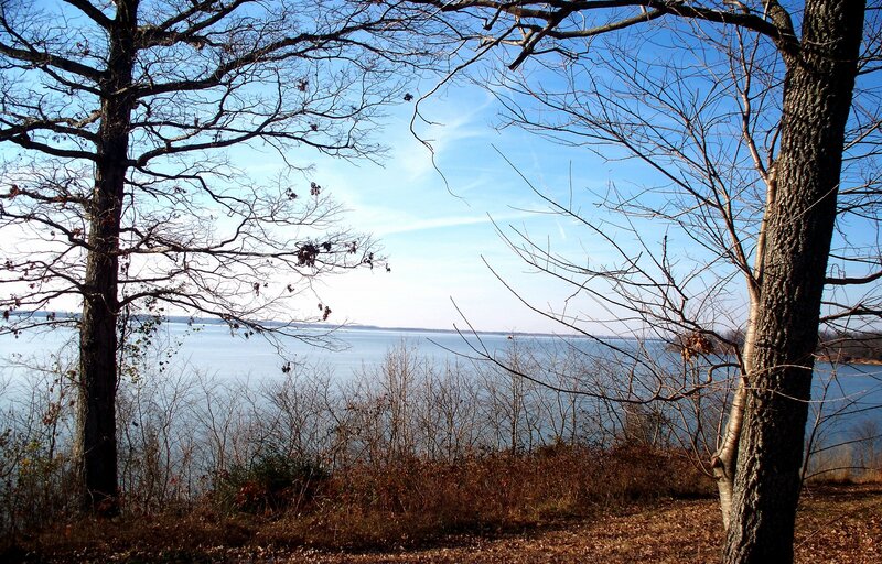 Lake View Through Trees — Blue, Serene